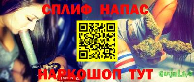 винт Партизанск