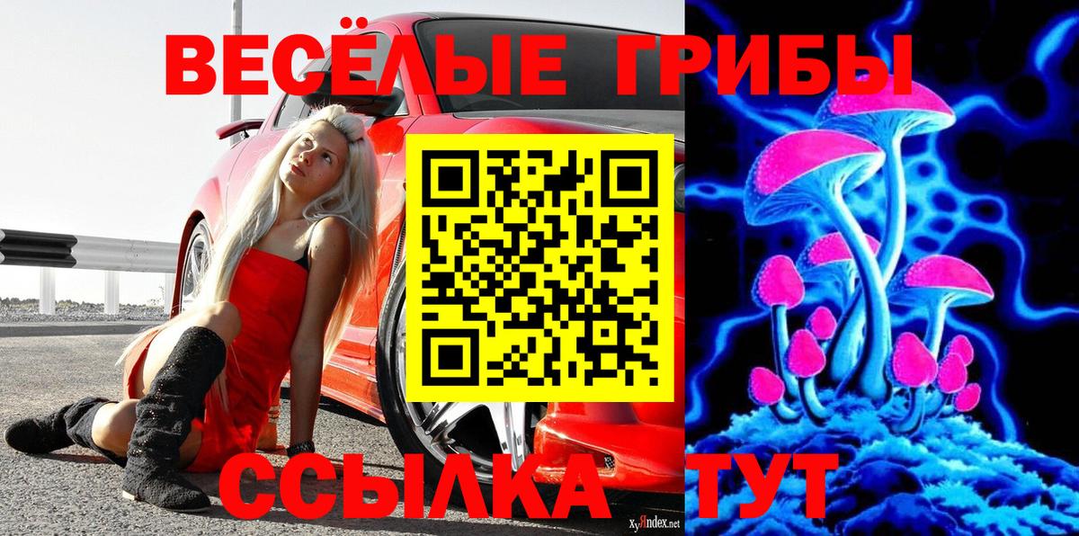 Псилоцибиновые грибы Magic Shrooms  Вход с VPN  что такое наркотик  Старая Купавна 